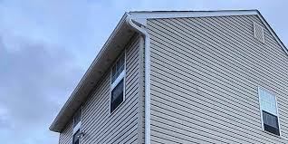 Best Steel Siding Installation  in Essex, IL